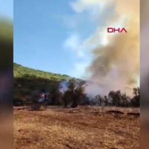 Burdur'da orman yangını