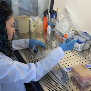 Türkiye bordan yara örtüsü üretti! Artık daha hızlı iyileşme sağlanacak