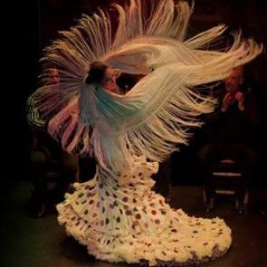 Ankara ve İstanbul'da düzenlenecek flamenko gösterisinin geliri Gazze'ye bağışlanacak