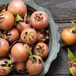 Kapış kapış gidiyor: Kansere karşı siper oluyor! Yiyince zırh gibi koruyor