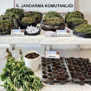 Malatya'da uyuşturucu operasyonu; 5 tutuklama