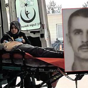 Ceviz topluyordu, hayatını kaybetti! 