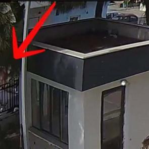 Gülben sokak ortasında öldürülmüştü! Cinayette yeni gelişme 