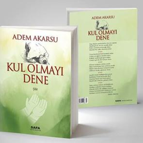 Kul olmayı dene - Adem Akarsu