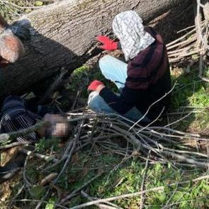 Sakarya'da korkun&ccedil; kaza! Kestiği ağa&ccedil; sonu oldu