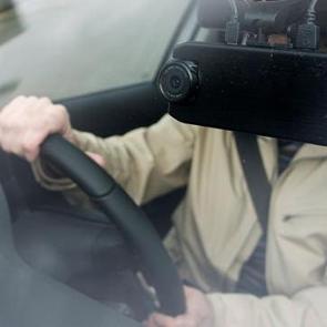 1 ayı geçirene para cezası yazılacak! Tarihler bir bir duyuruldu