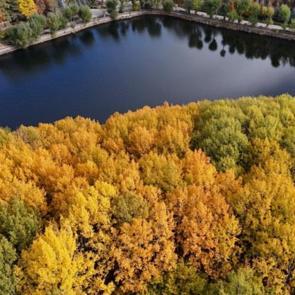 Başkentte sonbahar: Göz kamaştıran Karagöl Tabiat Parkı