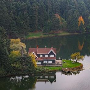 Doğal stüdyoya dönüştü! Sonbaharın tüm güzellikleri bir arada