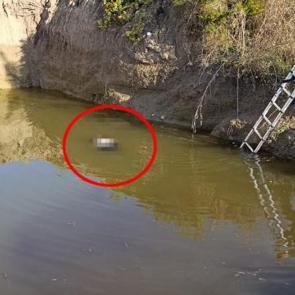 Antalya'da sır olay: Su dolu çukurdan kadın cesedi çıktı!