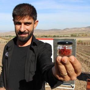  D&uuml;nyanın en pahalı baharatı! "Kırmızı altının" 1 gramı 500 TL'den satılıyor 