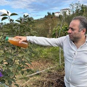 Kahverengi kokarca zararlısına karşı doğal &ccedil;&ouml;z&uuml;m