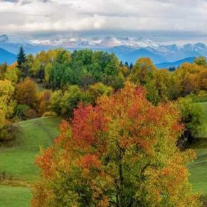 Karadeniz yaylalarında sonbahar büyüsü devam ediyor