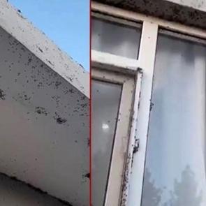 Yer: Siirt! 6 k&ouml;y&uuml; istila ettiler... Vatandaş camını bile a&ccedil;amıyor