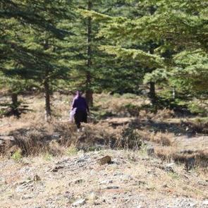 K&ouml;yl&uuml;n&uuml;n y&uuml;z&uuml;n&uuml; g&uuml;ld&uuml;ren &uuml;r&uuml;ne 4 milyon liralık fatura kesildi