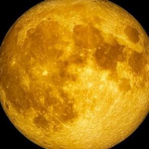 Türkiye'de 2019'dan bu yana bir ilk gerçekleşecek! 5 Kasım'da başlıyor