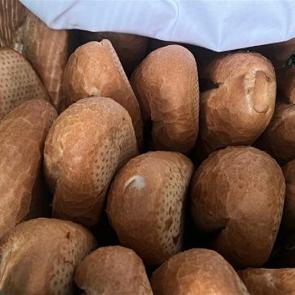 Ekmeğin fiyatını duyan kuyruğa koştu!