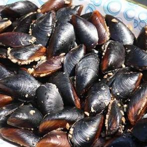 Ortak&ouml;y'de midye yiyen 2 &ccedil;ocuk ve anne hayatını kaybetti, baba ent&uuml;be edildi!