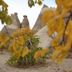 Mevsimin doğaya yansıması: Kapadokya’ya renk kattı!