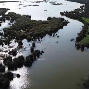 Ne Afrika ne de Dubai: Foto safari yapacaklar buraya!