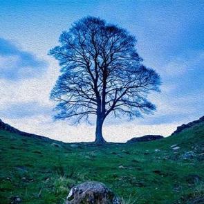 Olmak ve Yapmak Üzerine