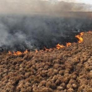 Nehil Sazlığı'ndaki yangın 4 g&uuml;n sonra s&ouml;nd&uuml;r&uuml;ld&uuml;