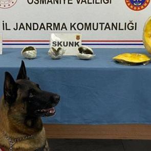 Yolcu otobüsünde şoke eden olay: Bal kabağından bakın ne çıktı!