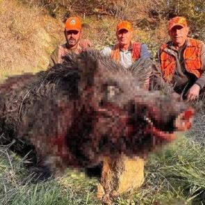 Tekirdağ'da avcıları şaşırtan av: Kilosuna inanamadılar! 