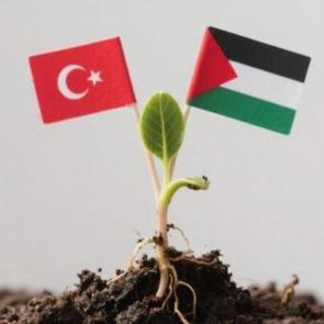 İmam hatipliler şehitlerimiz için fidan dikiyor  