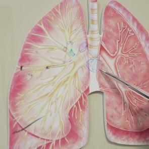 KOAH ölüm listesinde 3. sıraya yerleşti: Risk kış aylarında daha da artıyor!