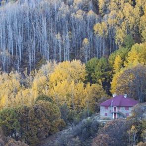 Sonbaharda doğayla buluşma noktası: Salördek ormanları