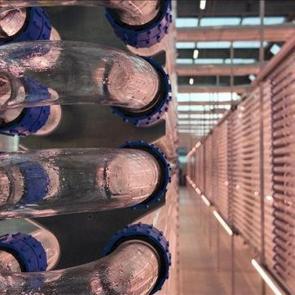 Boğaziçi Üniversitesi mikroalg temelli biyopestisit geliştirecek