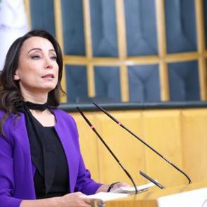 DEM Parti'li Hatimoğulları'ndan 'Terörsüz Türkiye' mesajı