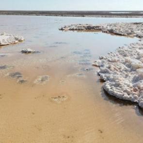 Türkiye'nin ikinci büyük gölünde büyük alarm: Sular çekilince ortaya çıktı!