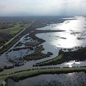 Yeniden hayat buldu! Su kuşları buradan gözlemleniyor