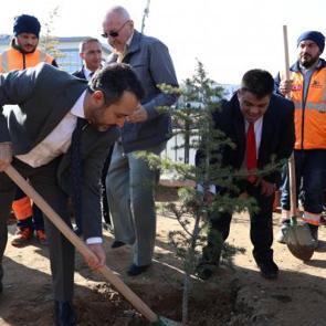 Konya'da anlamlı etkinlik: Özel öğrenciler fidan dikti
