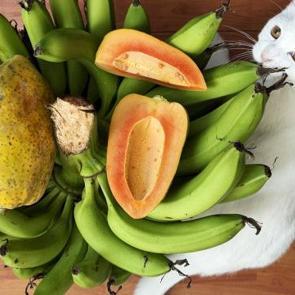 Dün alıyorduk bugün dünyaya satıyoruz: Diktikten 1 yıl sonra para basıyor!