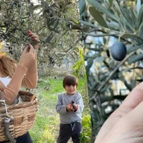 Burcu Kara şehirden ka&ccedil;tı: İznik&rsquo;te zeytinlik kurdu! Meğer o &ccedil;iftlik &uuml;nl&uuml; bir dizidenmiş