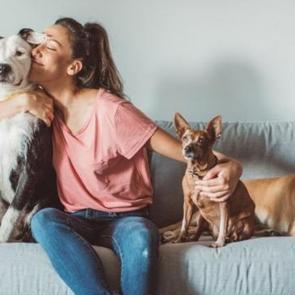 Dayanaklı ve şık: Evcil hayvanlı evde doğru koltuk se&ccedil;imi