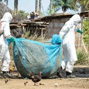 Kongo'da Ebola salgını sona erdi