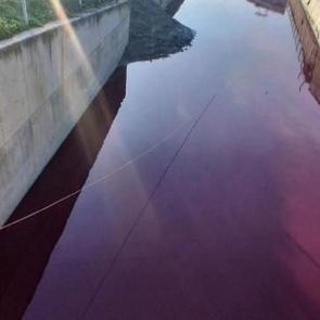 Haramidere'nin rengi kırmızıya döndü