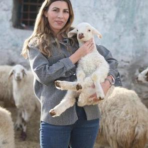İstanbul'dan köyüne dönüp hayvancılığa başlayan kadın 3 yılda sürüsünü 4'e katladı