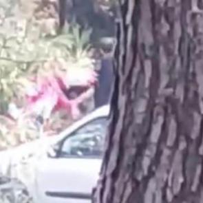 İzmir’de ormanlık alanda kadını darbeden şahıs yakalandı