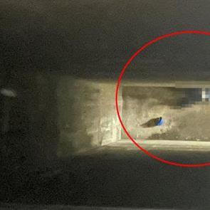 Mardin'de yüksekten düşen işçi öldü