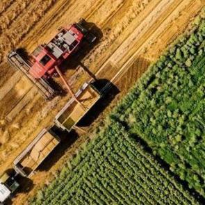 Rusya’dan Türkiye’ye tarım ihracatı %85 arttı: Ulusal marka Made in Russia bu artışta nasıl bir rol oynadı