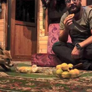 ‘Tilko’ adını verdiği tilkiyi kendi elleriyle besliyor