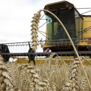 Üreticilere kasımda 376,8 milyon lira destekleme ödemesi yapıldı