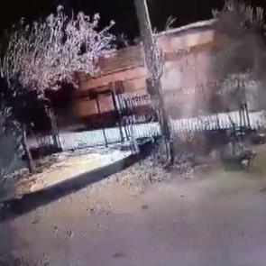 Yok artık dedirten hırsızlık! ‘Tiny House' hırsızı kıskvırak yakalandı