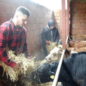 "Almanya'da robot olacağıma &ccedil;oban olurum" diyerek memleketine d&ouml;nd&uuml;