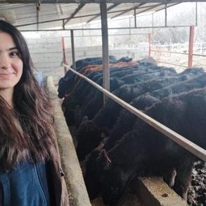 Atama bekleyen Asena, devlet desteğiyle hayvancılığa başladı