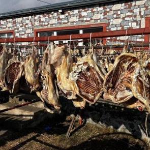 İpe dizilen 900 kazı g&ouml;ren d&ouml;n&uuml;p bir daha baktı